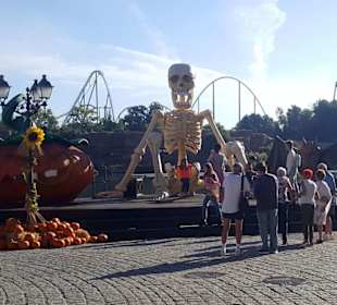 Port Aventura