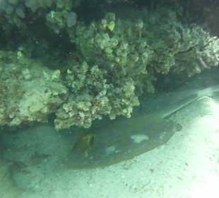 Eines meiner schönsten Aufnahmen!