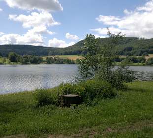 Der See