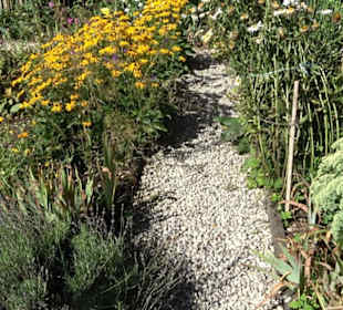 Klosterkirche Maria Gnadenzell