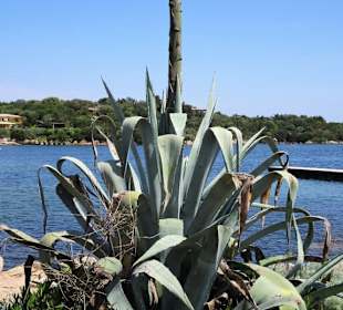 Rundgang druch den Yachthafen von Porto Cervo