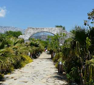 Noch ist alles sehr grün