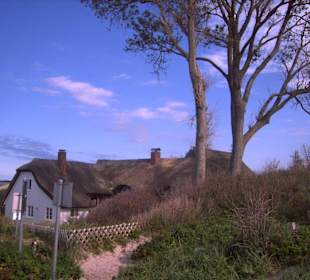 Windflüchter in Ahrenshoop