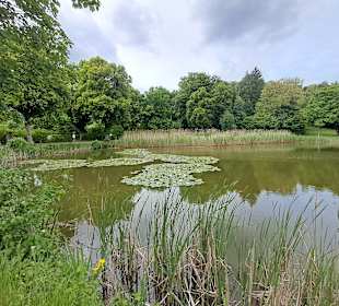 Seewoog in Ramstein-Miesenbach