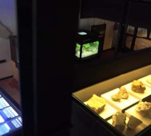 Jura-Museum
