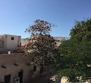 Ras Al Khaimah Museum