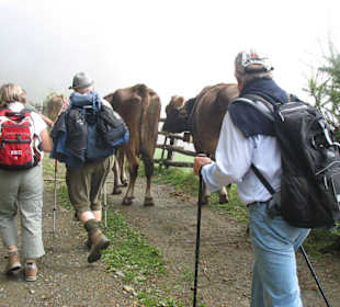 Wanderung im Ultental