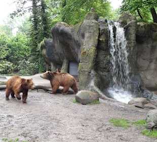 Außenbereich der Bären