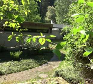 Kurpark Bad Niedernau