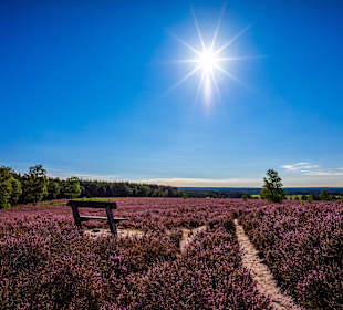 Wandern Buchholz in der Nordheide