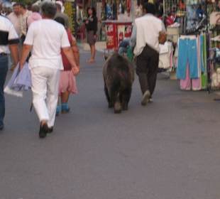 Kein Verständnis! Entlang der Promenade...
