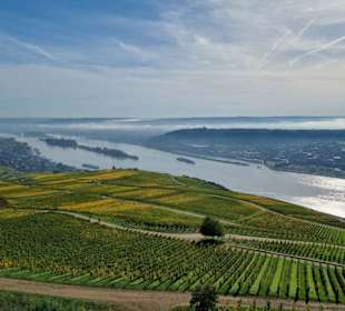 Ausblick vom Niederwalddenkmal