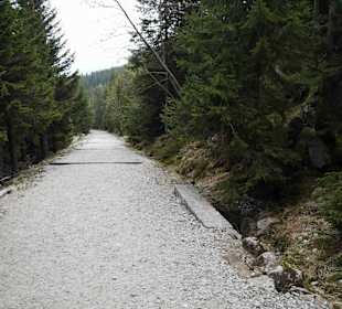 Berg Schneekoppe/Śnieżka