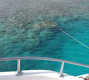 Super Riff zum schnorcheln