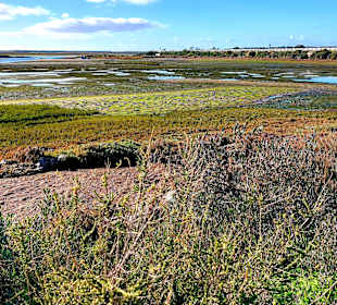 Parque Natural da Ria Formosa