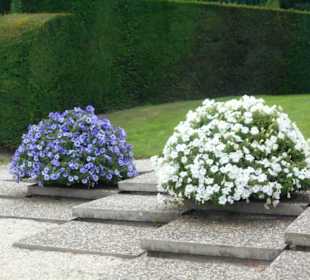 Schloßpark Kasteeltuinen Arcen