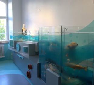 Museum Natur und Mensch