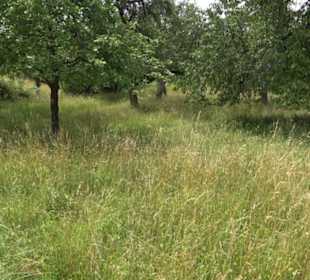 Premiumspazierweg Früchtetrauf-Leisawegle