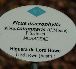 Botanischer Garten