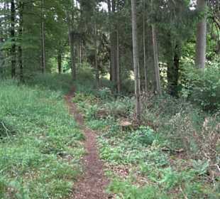 Premiumwanderweg "hochgehackert"