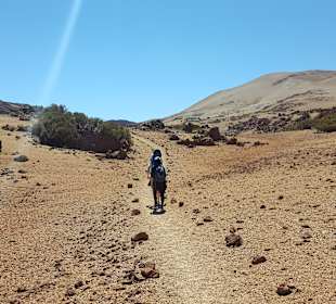 Wandern im Teide Nationalpark 