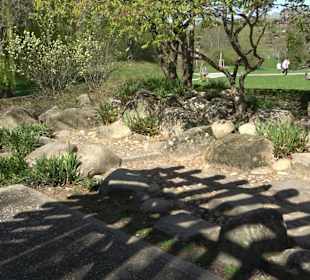 Japangarten Stuttgart