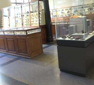 Museum für Naturkunde
