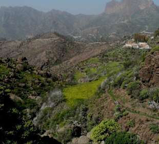 Traumhaftes Grün in den Bergen