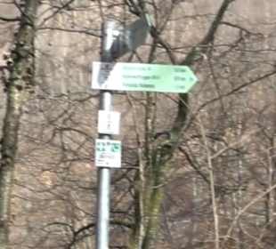 Premiumwanderweg Hohenwittlingensteig