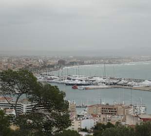 Blick auf Palma vom Castell de Bellver