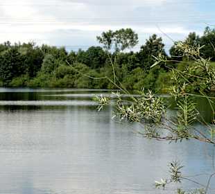 Blick über den Waller Feldmarksee