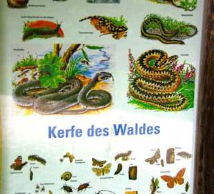 Das Oberbecken Happurger Stausee