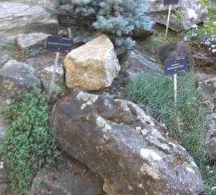 Real Jardín Botánico de Madrid