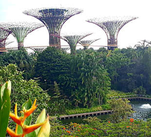 Gardens by the Bay