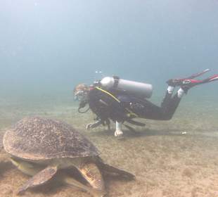 Schnorcheln Abu Dabbab