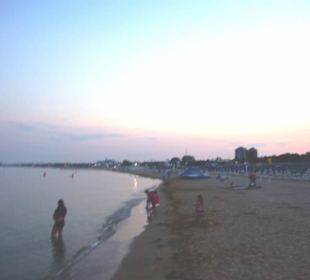 Da wird noch fleißig gesammelt