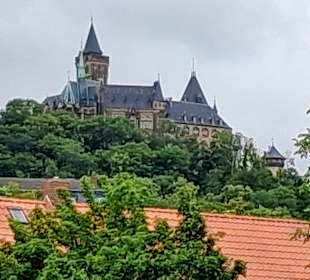 Schlossblick