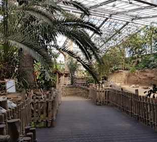 Kölner Zoo 