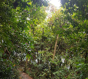 Weg zum Small Sandy Beach (Abenteuerweg)