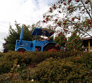 Schwabenpark in Welzheim