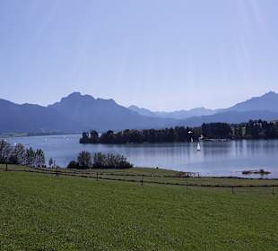 Forggensee