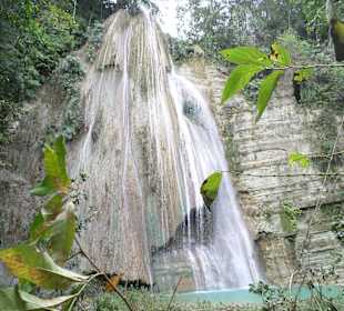 Dschungel - Trekking