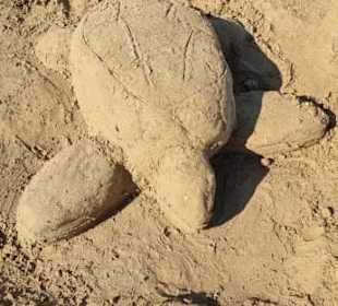 Manche können es schon