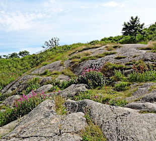 Festungsinsel