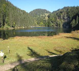 Wandern Bernau am Chiemsee