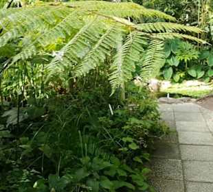 Botanischer Garten