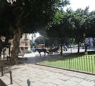Brunnen Fontana Del Garraffo