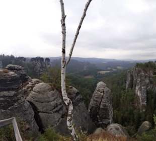 Bastei in Lohmen