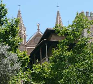 Die Kathedrale von Palma