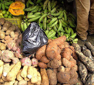 Markt in Hiquey